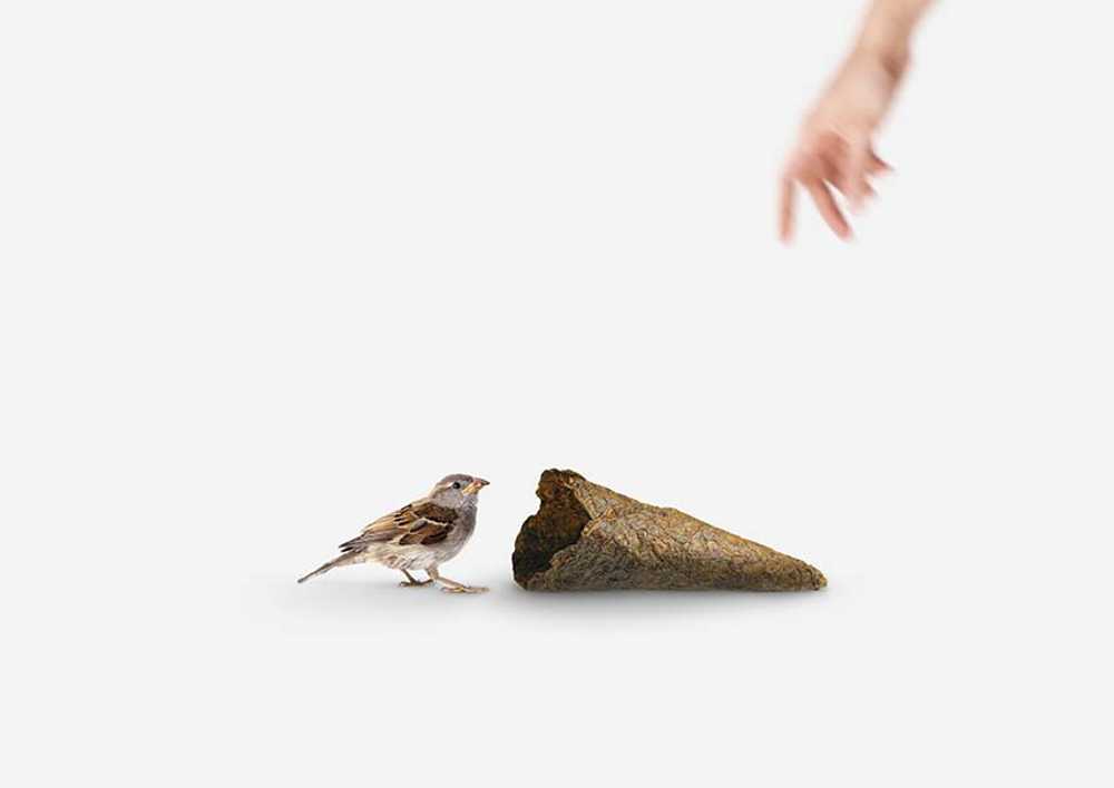 Peel Saver. An eco-friendly street food packaging made from potato peels