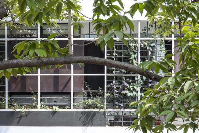 Aadyam. A variegated and generous house that embraces polarity