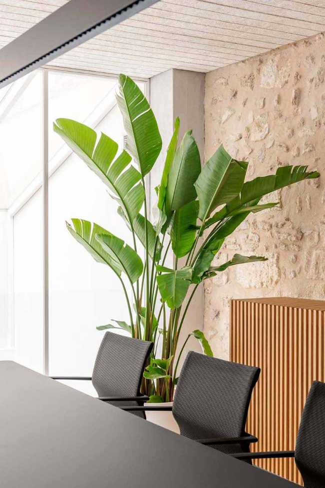 Prior Ecclesia, l’affascinante ristrutturazione di una antica chiesa ad Alcamo