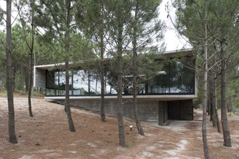Architecture for architects at Casa L4. Exposed concrete and landscape