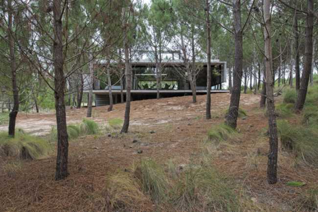 Architecture for architects at Casa L4. Exposed concrete and landscape