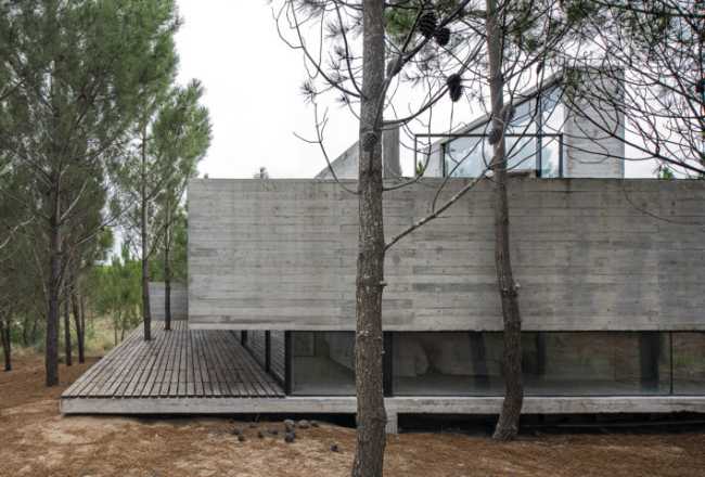 Architecture for architects at Casa L4. Exposed concrete and landscape