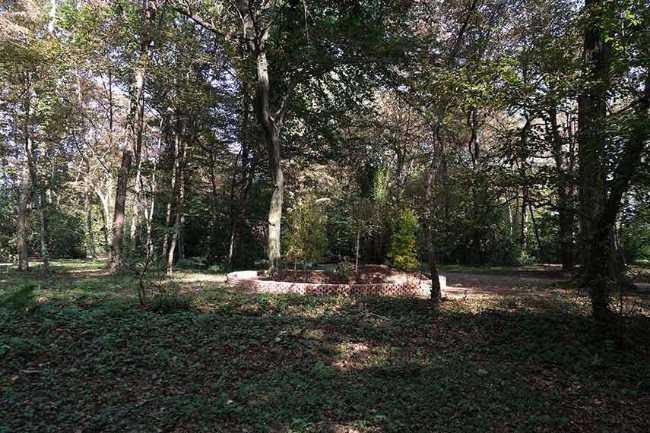 ¡Al principio estaba el gusano! El Worm Garden como tributo a las lombrices