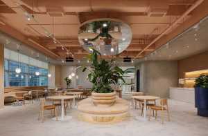 Dalla natura lo spazio olistico Wellness Oasis. Produttività e benessere