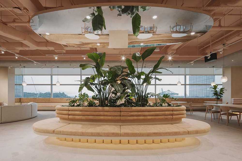 From nature the Wellness Oasis holistic space. Productivity and well-being