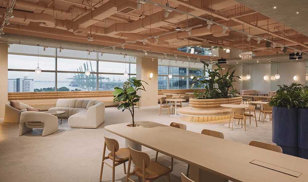 From nature the Wellness Oasis holistic space. Productivity and well-being