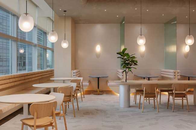 From nature the Wellness Oasis holistic space. Productivity and well-being