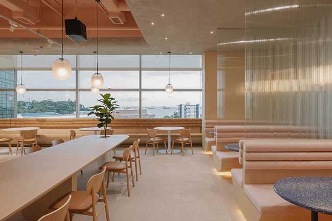 From nature the Wellness Oasis holistic space. Productivity and well-being