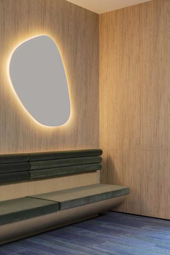 From nature the Wellness Oasis holistic space. Productivity and well-being