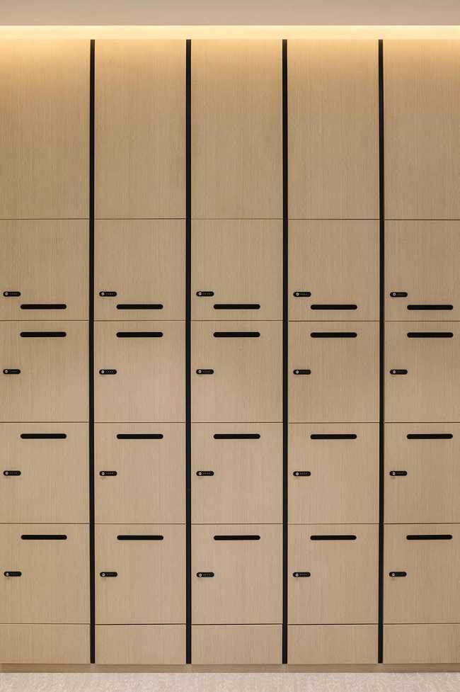 From nature the Wellness Oasis holistic space. Productivity and well-being