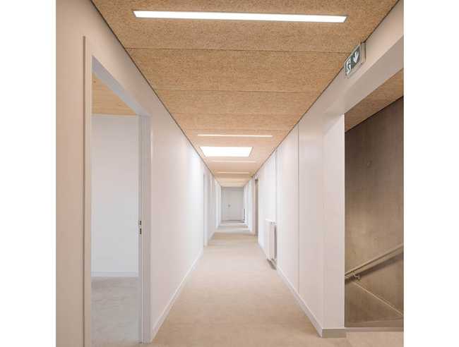 The ASSIA headquarters extension. Building structure in wood, concrete and glass