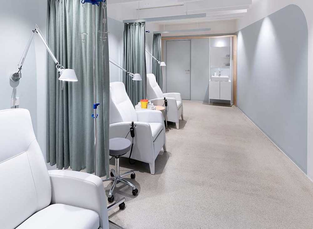 Armonía y vitalidad desde los espacios del consultorio médico Sempervivum