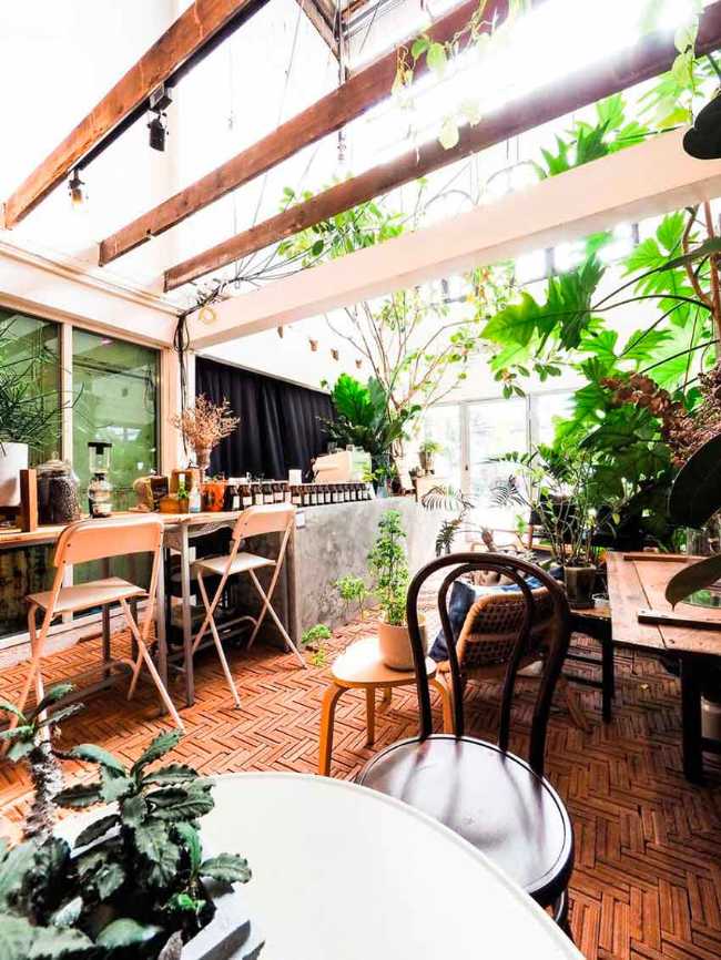Too Can Cafè, árboles y plantas: ¿interior o exterior?