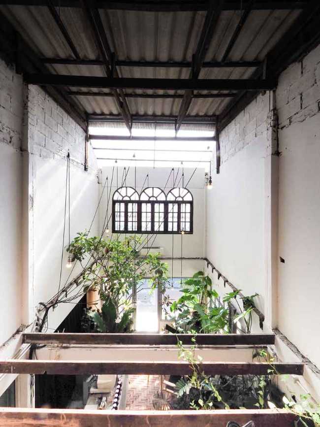 Too Can Cafè, árboles y plantas: ¿interior o exterior?