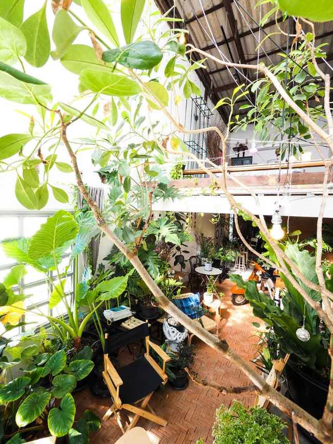 Too Can Cafè, árboles y plantas: ¿interior o exterior?