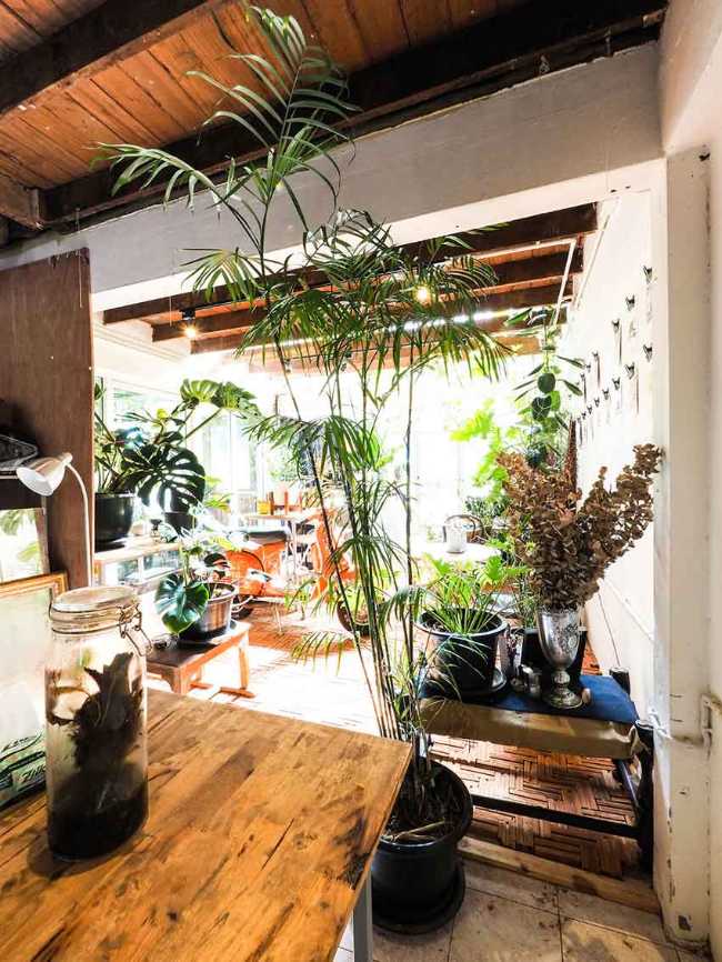 Too Can Cafè, árboles y plantas: ¿interior o exterior?