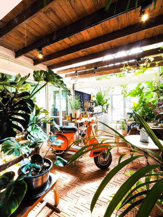 Too Can Cafè, árboles y plantas: ¿interior o exterior?