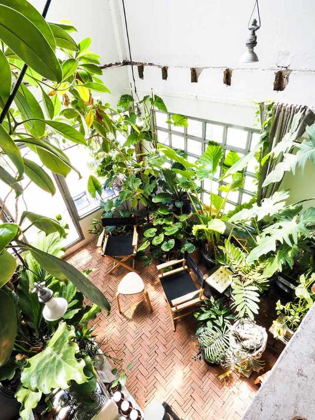 Too Can Cafè, árboles y plantas: ¿interior o exterior?