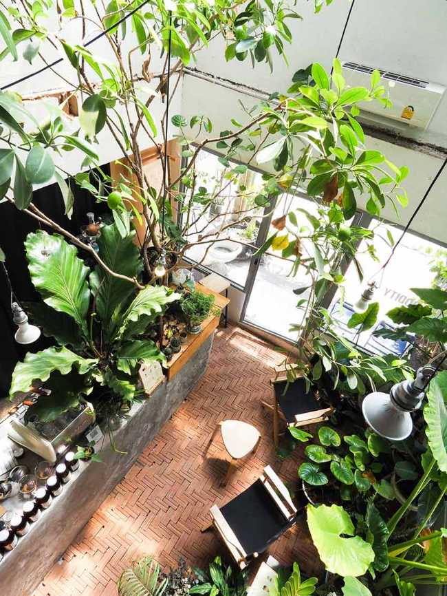 Too Can Cafè, árboles y plantas: ¿interior o exterior?