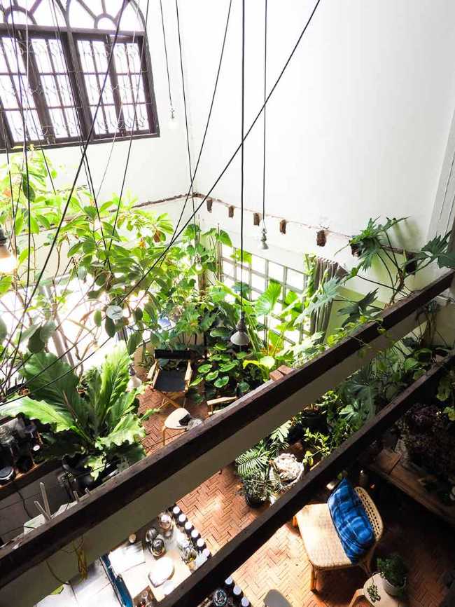 Too Can Cafè, árboles y plantas: ¿interior o exterior?