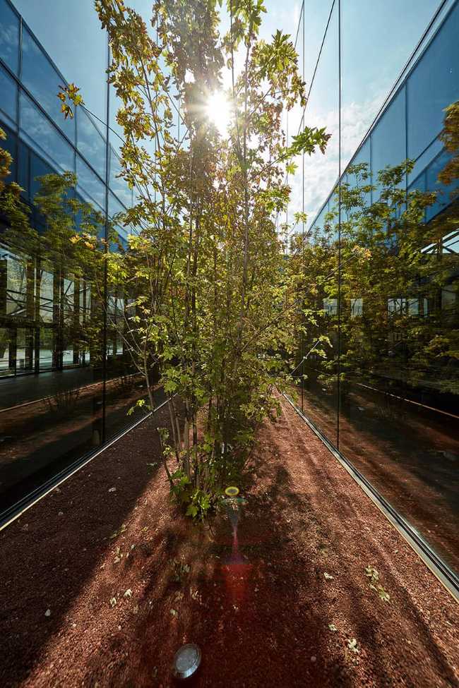 Merkez Ankara Showroom: continuous spaces flooded with light