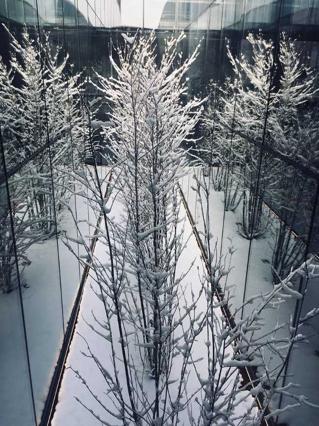 Merkez Ankara Showroom: continuous spaces flooded with light