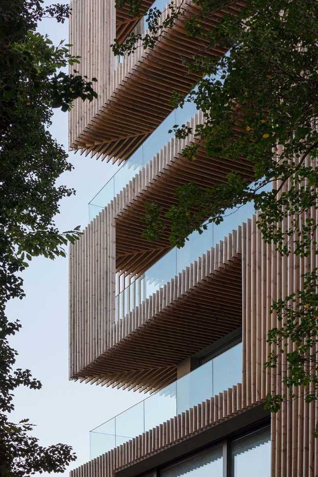 Può l’architettura integrarsi con la natura? Hotel Umami