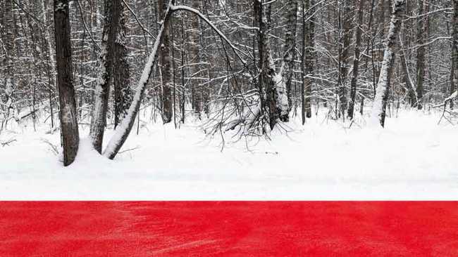 Nowhere. A red thread in the white landscape, effects of perspective and infinity