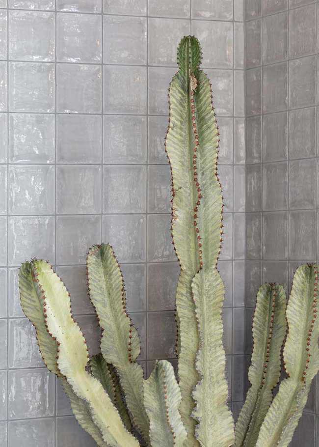 Sawerdo Bakery & Coffee la rinascita del convivio post pandemia