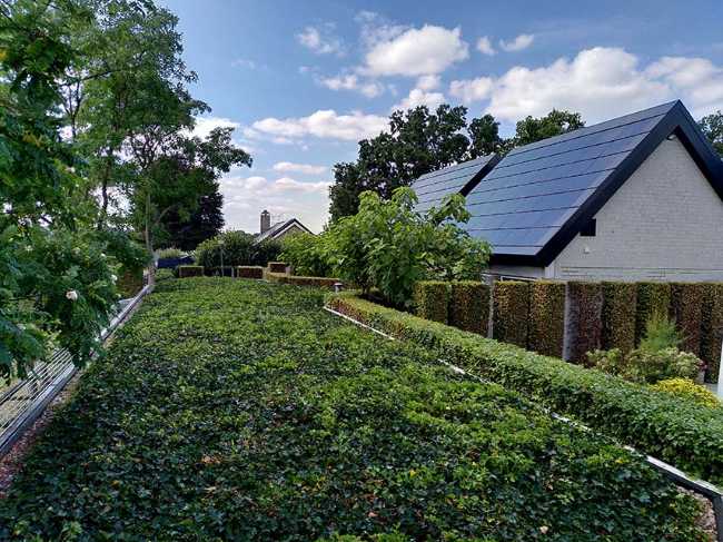 A circular renovation in De Moer: innovation and sustainability