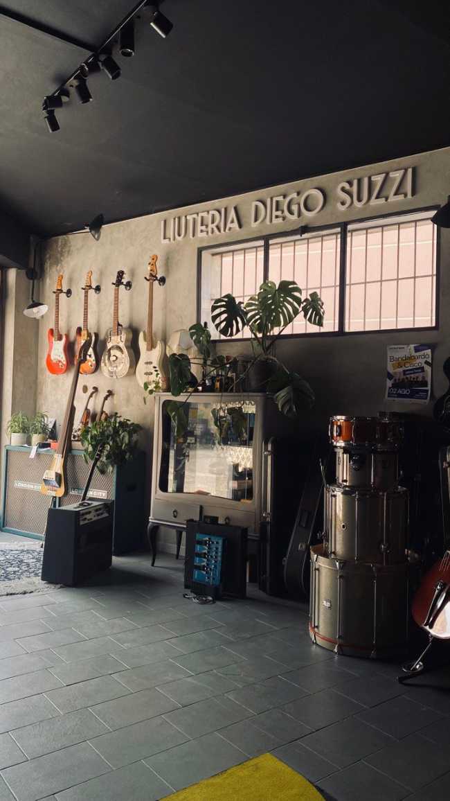 Lutherie Diego Suzzi : l'art manuel de faire revivre de vieux instruments de musique