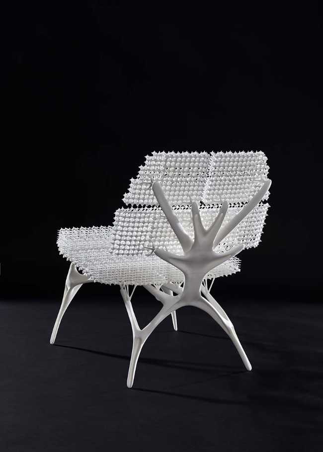 Radiolaria. 3D printed chair born from the wisdom of nature