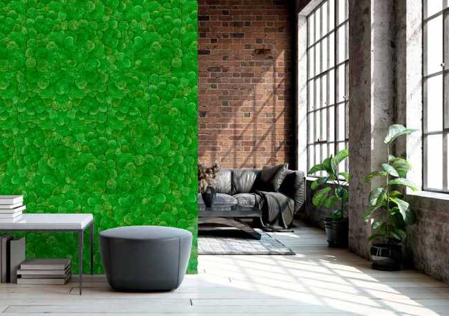 Il verde verticale nella progettazione degli interni. Soluzioni a zero manutenzione, caratteristiche e case study