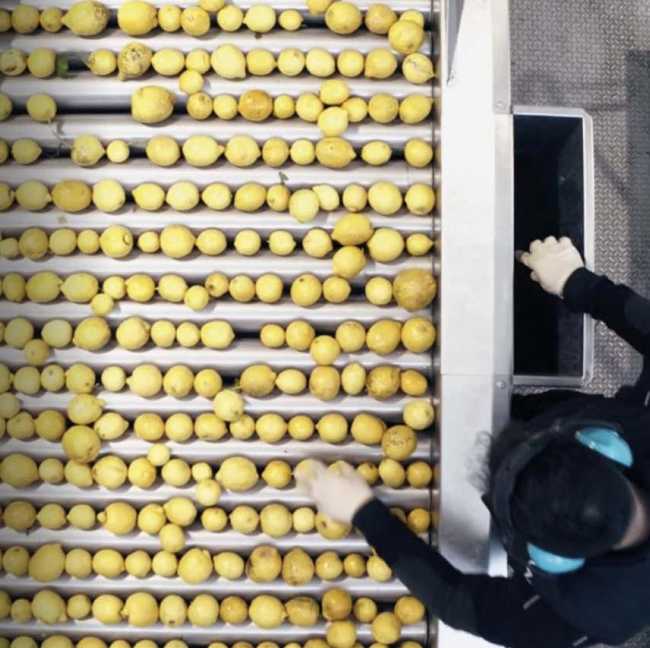 Headquarters Capua1880: landmark d'une transformation régénérative