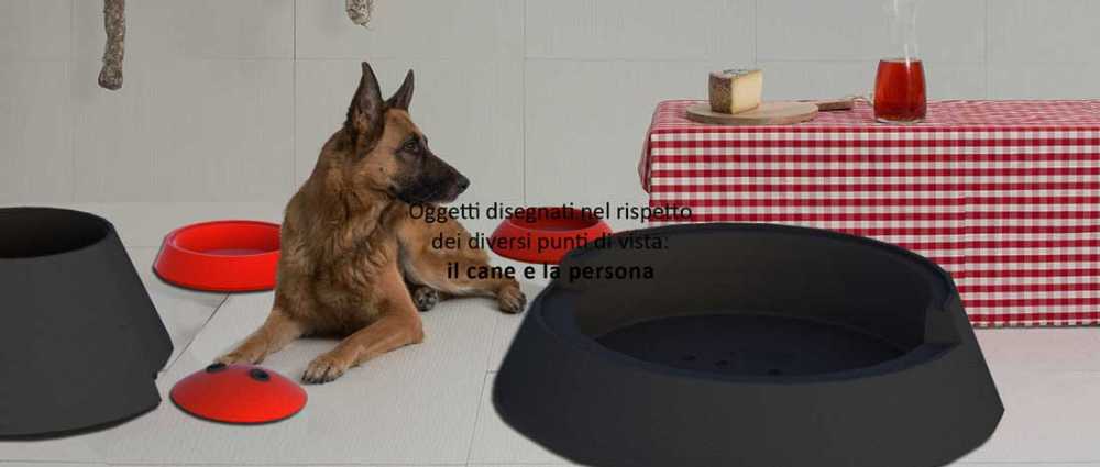 Zuccotto : design pour le bien-être à quatre pattes