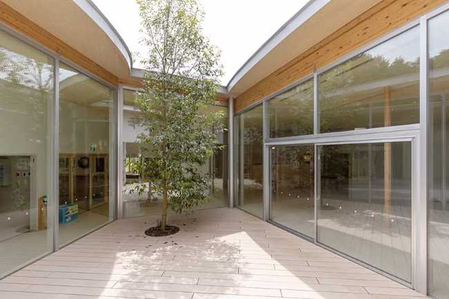 Children's Forest. Kindergarten floating gently in the woods