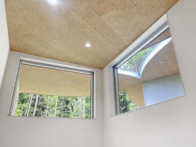 Children's Forest. Kindergarten floating gently in the woods