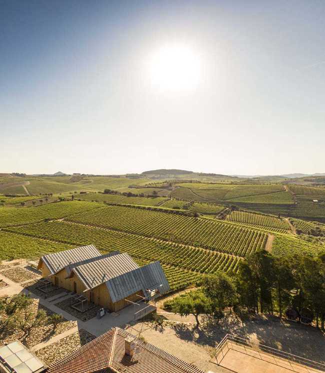 Structure d'accueil pour les visiteurs de la cave Quinta da Faísca