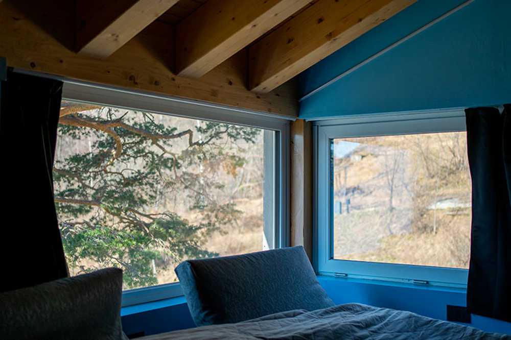 El encanto del petricor, refugio en la naturaleza