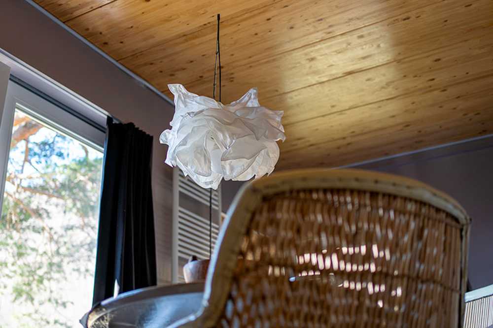 El encanto del petricor, refugio en la naturaleza