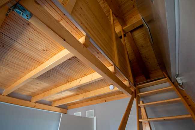 El encanto del petricor, refugio en la naturaleza