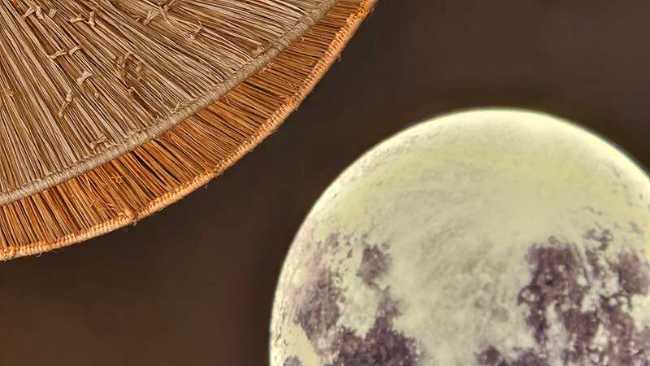 Ristorante Lune Siamoise: atmosfere thailandesi e minimaliste