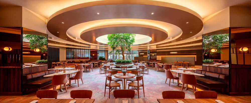 L'Arbre de connectivité conviviale dans le Bivouac Hilton Doubletree