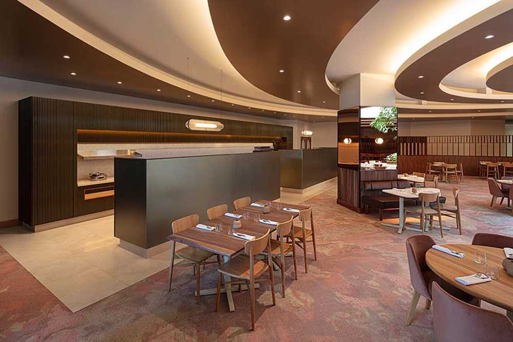 L'Arbre de connectivité conviviale au Bivouac Hilton Doubletree