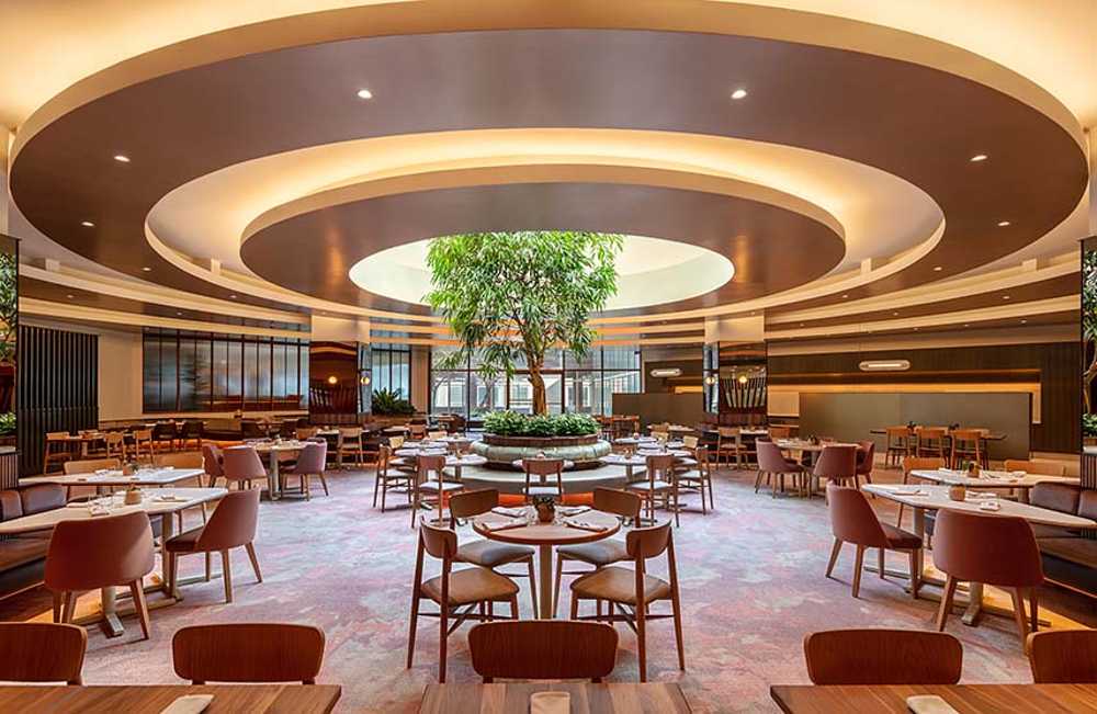 L'Arbre de connectivité conviviale au Bivouac Hilton Doubletree