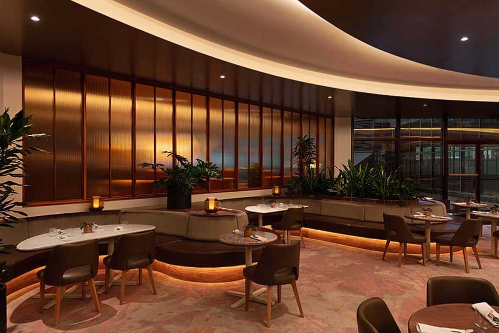 L'Arbre de connectivité conviviale au Bivouac Hilton Doubletree