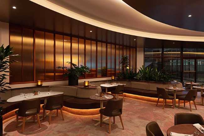 The Tree of convivial connectivity in the Doubletree Hilton Bivouac