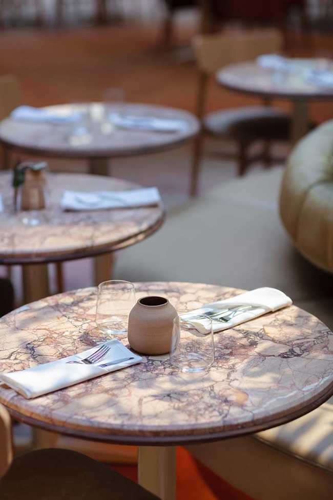 The Tree of Friendly Connectivity in the Doubletree Hilton Bivouac