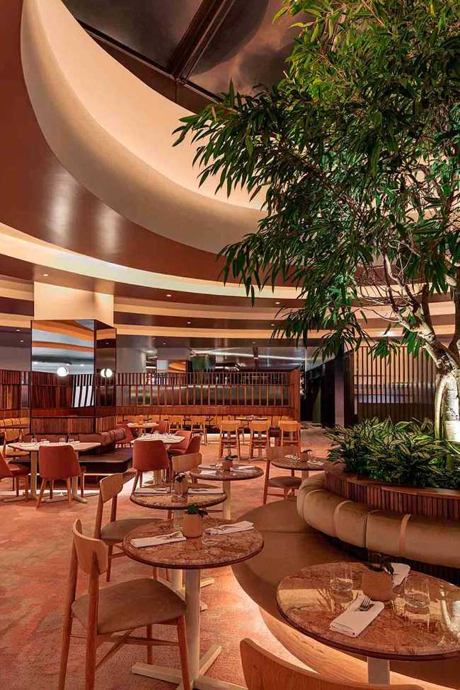 The Tree of Friendly Connectivity in the Doubletree Hilton Bivouac