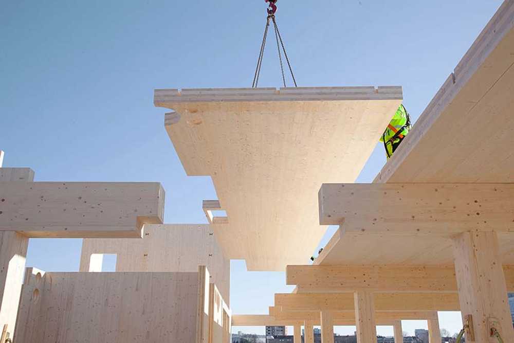 HasleTre: el edificio comercial desmontable y reciclable de madera